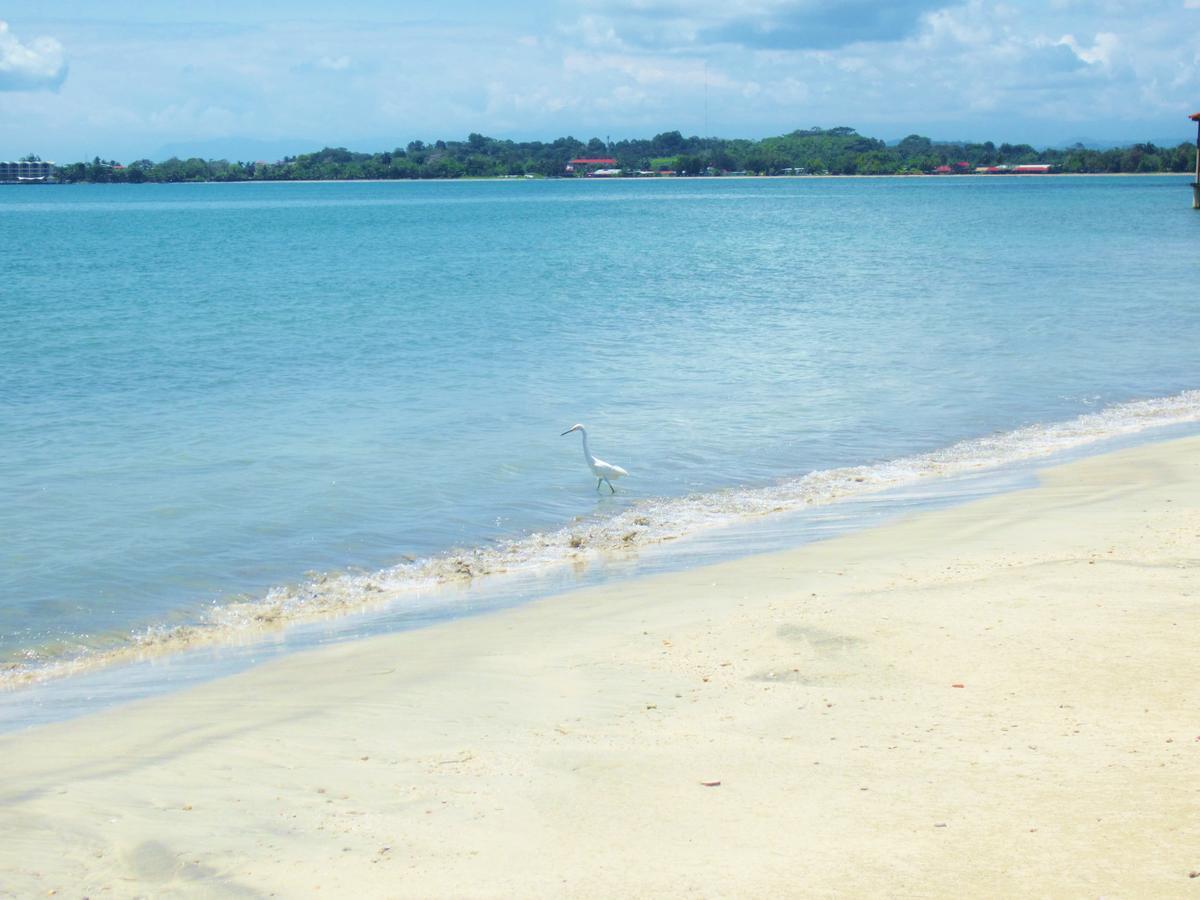 Casa Abundancyah B&B Bocas Town Luaran gambar