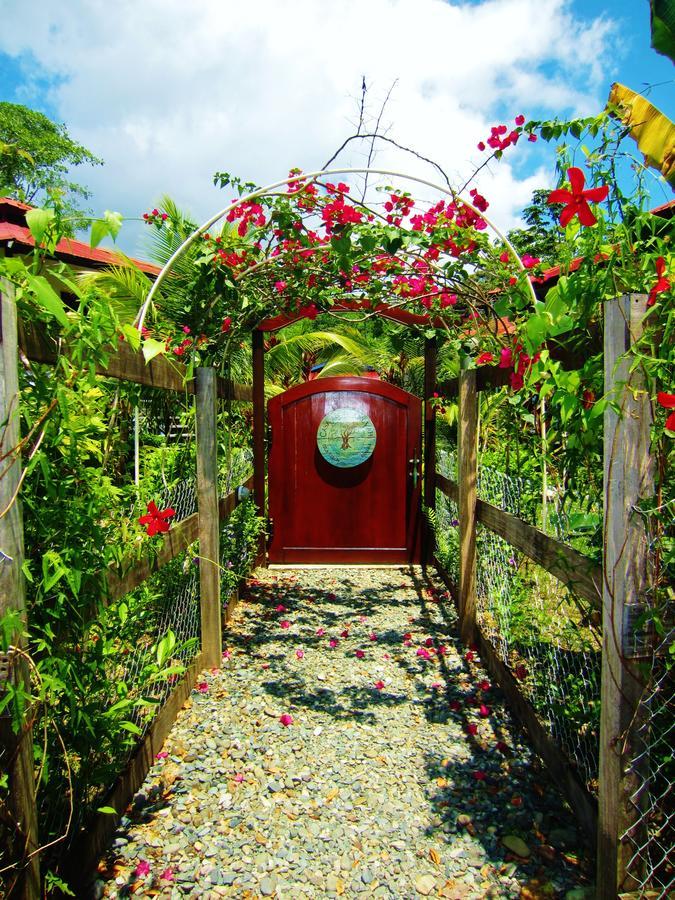 Casa Abundancyah B&B Bocas Town Luaran gambar